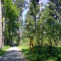 Arborétum