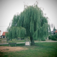 Zvonica v Bobrovci